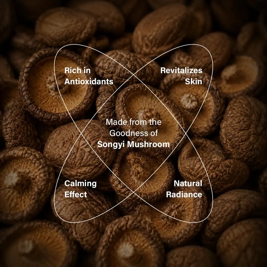 Songyi Mushroom Facial Kit — view 2